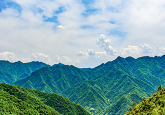 綠色礦山建設(shè)